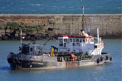 MARY ANGUS 180912a.JPG