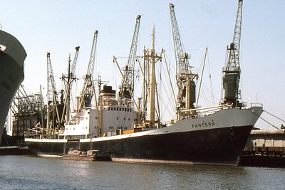 PANTERA 180678a_1.jpg