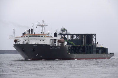 02) Seahorse (06.06.12).jpg