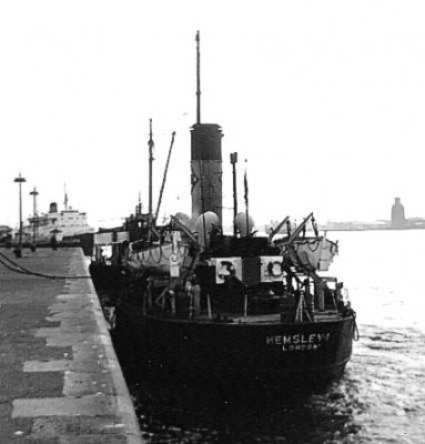 hemsleyi140965.jpg