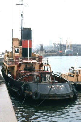 CHIPCHASE 280579a.jpg