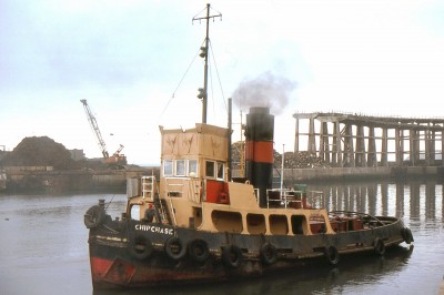 CHIPCHASE 040480a.jpg