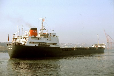 HUDSON LIGHT 250876b.jpg