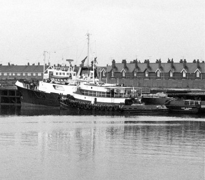 MITZI ALARIO   SEP 1973.jpg