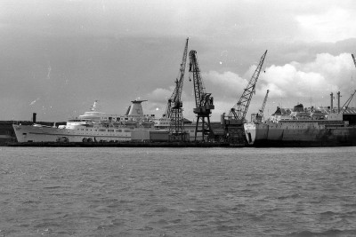daphne120780full.jpg