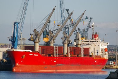 BASS BULKER 110706b.JPG