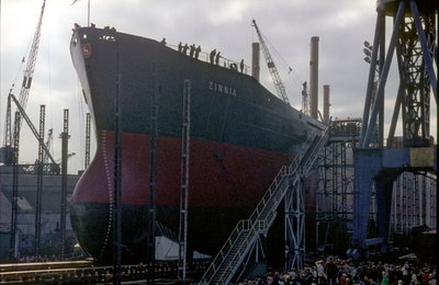 Zinnia 26 July 1968 (2)_1.jpg