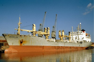 UNISELVA 260394a.jpg