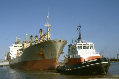 UNISELVA 260394d.jpg