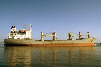 UNISELVA 260394c.jpg