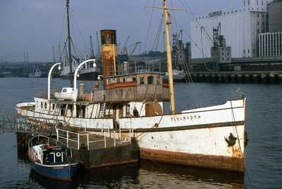 SCHARHORN 271079a.jpg