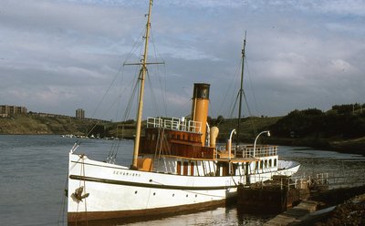 SCHARHORN 270980a.jpg