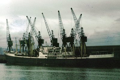 BAMENDA-PALMxawx2.jpg