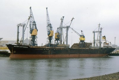 ZEYNEP KAPTANOGLU 250593a.jpg