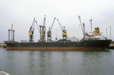 ZEYNEP KAPTANOGLU 250593b.jpg