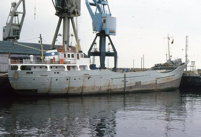 LEK VIKING 190879a.jpg