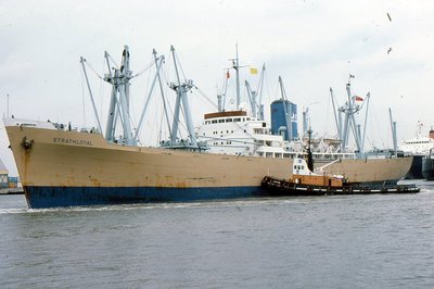 STRATHLOYAL 240877a.jpg