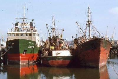 BEN ROY-BEN LORA-BEN GLAS 170782a.jpg