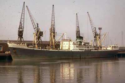 IBADAN-PALMxaw.jpg
