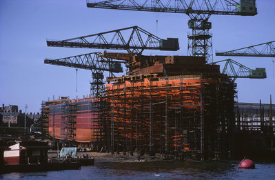 Alamba at Swans.jpg