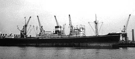 060203chinkoa.jpg