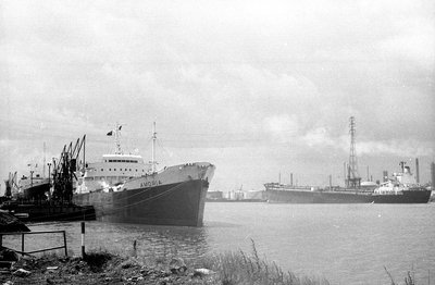 amoria+doric030774xbw.jpg