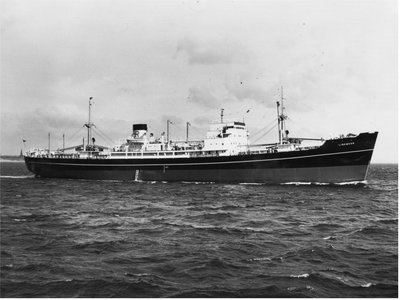 lm.JPG