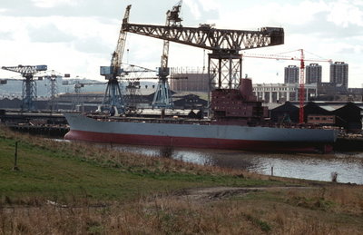 Dunedin, 7 April 1980_1.jpg