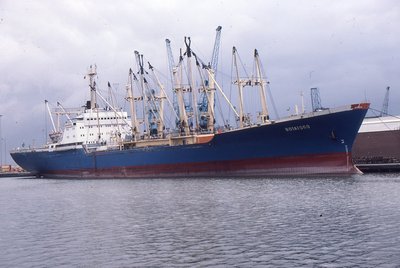 BOTAFOGO 240782a.jpg