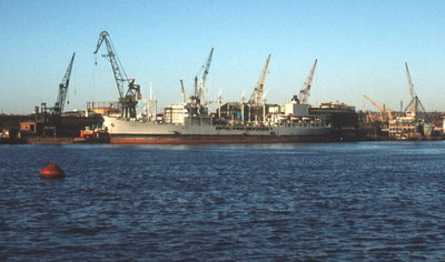 Tidepool, 31 December 1979_1_1.jpg