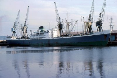IBADAN PALM 220577a.jpg