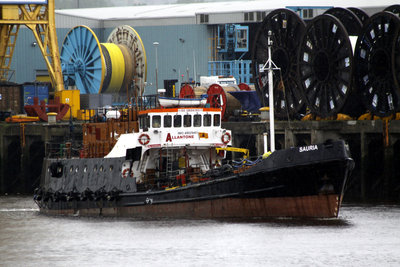07) Sauria (21.06.12).jpg