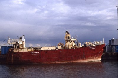 ROYSENES 130997a.jpg