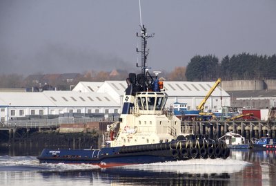 05) Svitzer Castle (19.03.15)a.jpg