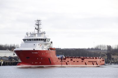 18) FS Cygnus (24.03.15).jpg