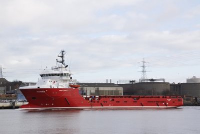 20) FS Cygnus (24.03.15).jpg