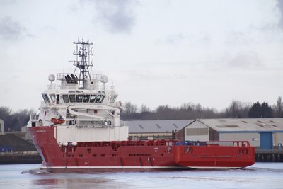 23) FS Cygnus (24.03.15).jpg