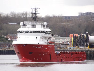 17) FS Cygnus (24.03.15)a.jpg