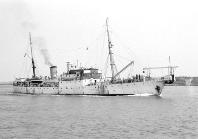 T - IRIS   1969.jpg