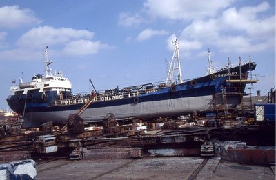 STRONGHAND 270390a.jpg