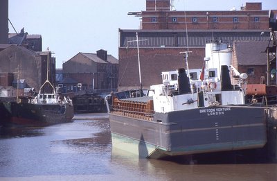 BREYDON VENTURE-THEO 200589a.jpg