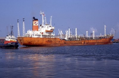 SHOUN NECTAR 200589a.jpg