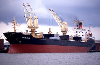 TRADE SWAN 080700a.jpg