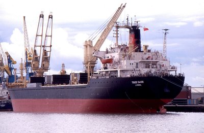 TRADE SWAN 080700b.jpg