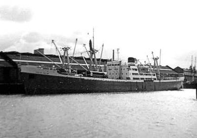 ikejapalm090965x1.jpg