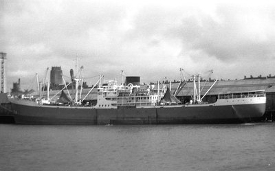 bamenda-palm090965x1.jpg