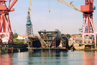Swanscrane.jpg