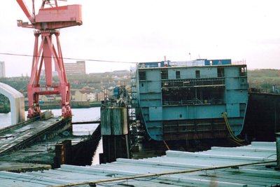 Swanscrane2.jpg