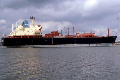 GANDARA 060485b.jpg