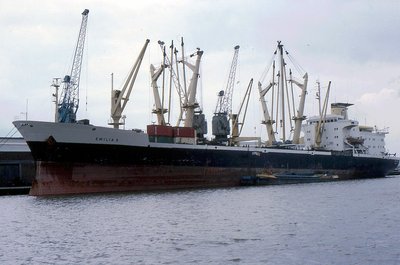 EMILIA S 270682a.jpg